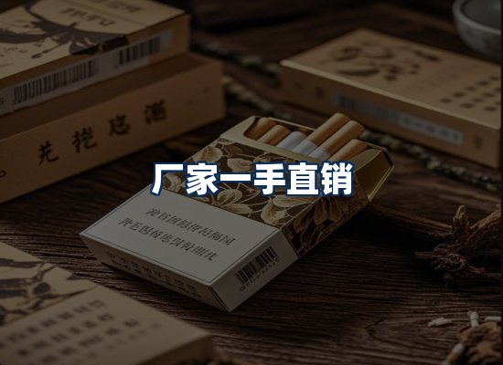 专业团队办公环境